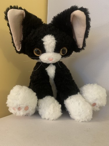 Devon rex gatto - rex,