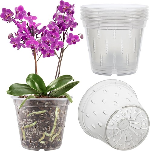 Remiawy vaso per orchidee - vaso,