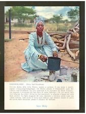 Cartoncino Pubblicitario Pomata e Supposte Midy Damaraland KN181