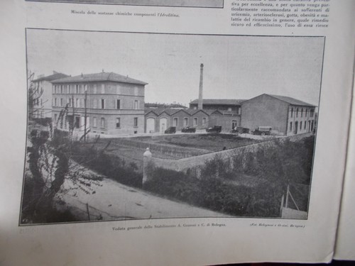 Illustrazione italiana 1923 - l'illustrazione,