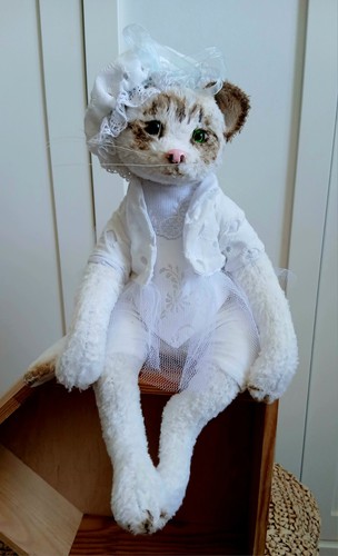 Teddy cat white lady in - teddy,