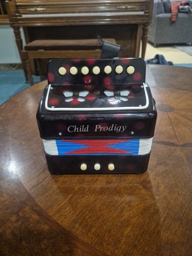 Fisarmonica bambino prodigio