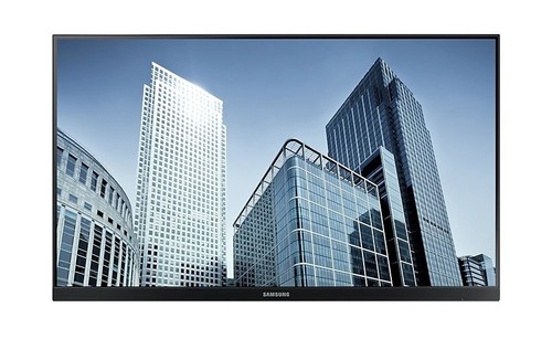 Monitor professionale - monitor, 24"