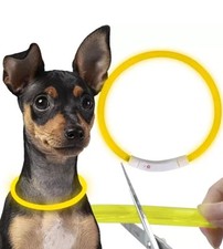 Collare LED Luminoso USB