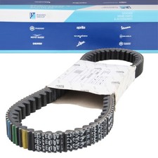 Cinghia trasmissione cinghia