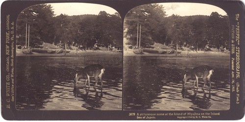 Miyajima giappone japan stereo - miyajima,