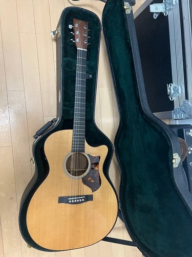 Chitarra elettrica acustica