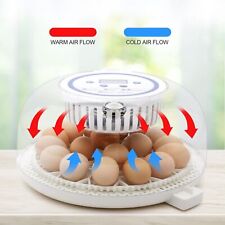 Incubatrice incubatrice