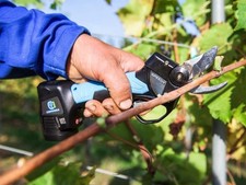 FORBICE A BATTERIA CAMPAGNOLA