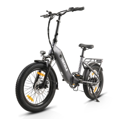 Bicicletta elettrica