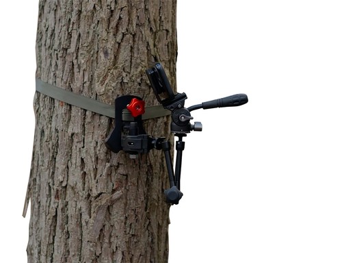 Adattatore albero freccia