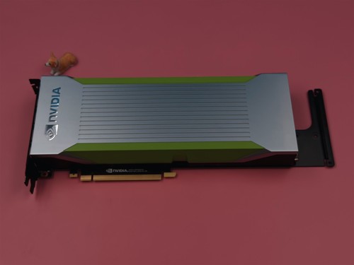 Dell nvidia quadro rtx 8000 - dell,