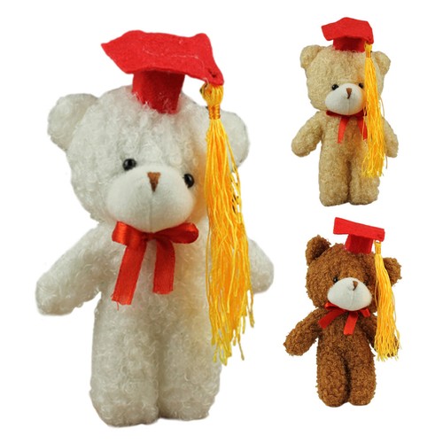 Pezzi orsi laurea - pezzi,
