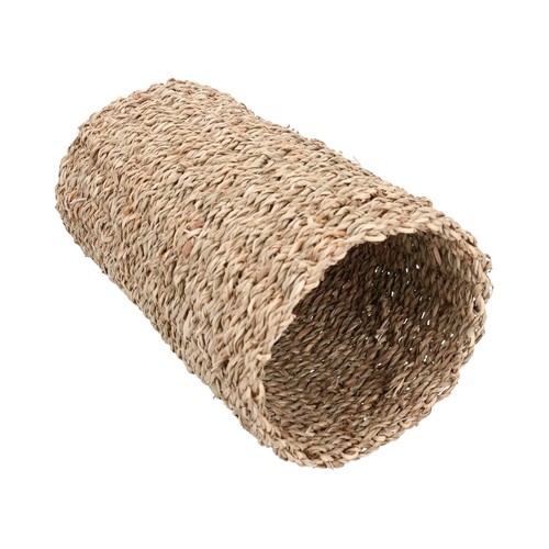 Tunnel gioco per alghe - gioco,