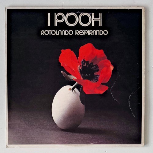 Pooh rotolando - pooh,