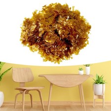 Scaglie di gommalacca
