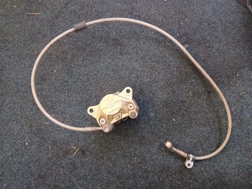 Pinza freno posteriore - freno, brembo