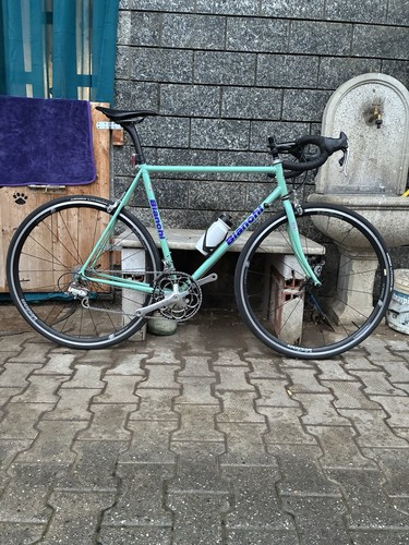 Bianchi wing - bianchi,