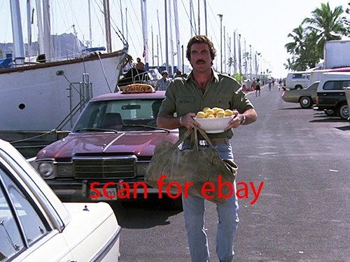 Magnum tom selleck foto - magnum,