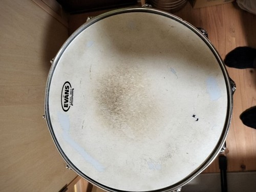 Rogers dyna sonic 14x6 - dyna-sonic, 14x6,5