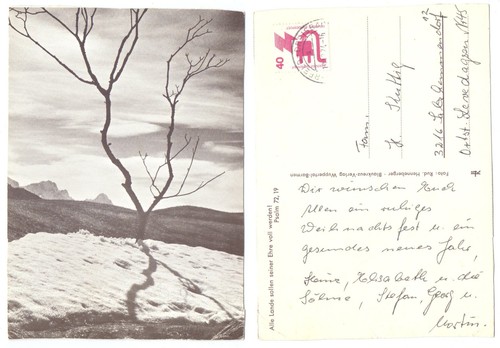 127138 albero calvo - -,