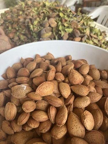 Mandorle siciliane con - mandorle,