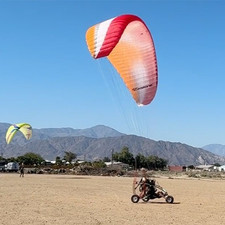 Aliante USATO Ozone Buzz Z XL