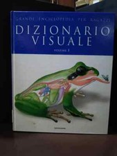 Libro Grande Enciclopedia per Ragazzi N. 43 Dizionario Visuale Vol 1 Mondadori 