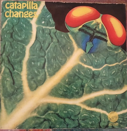 Catapilla change vertigo swirl - catapilla,