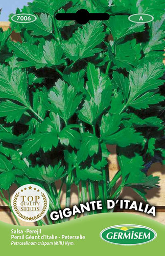 Gigante italia semi - gigante, d'italia