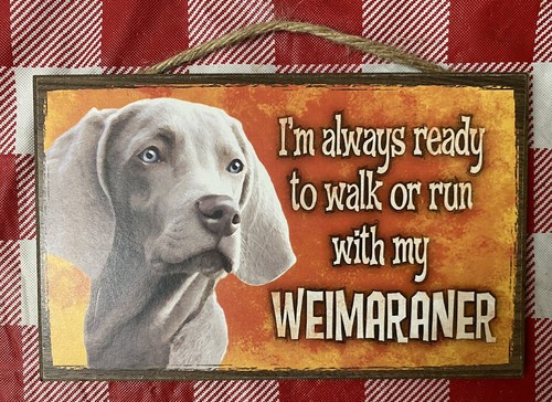 Insegna cane weimaraner - insegna,