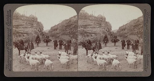 Girgenti sicilia 1906 porta - sicilia,