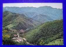 🔵 CARTOLINA FOTO PALAZZUOLO