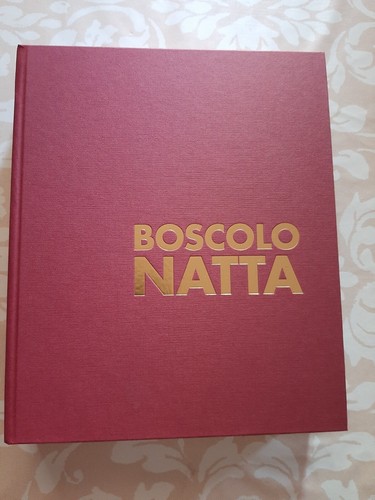 Domenico boscolo natta - natta,