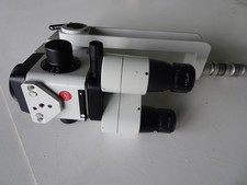 Testa microscopio Karl Kaps