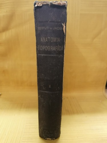 Trattato anatomia - , di