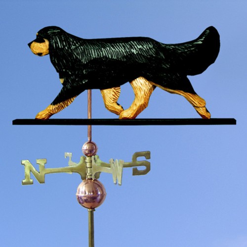 Cavalier king charles spaniel - king,