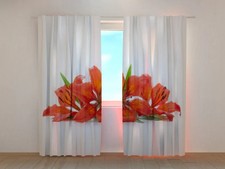 Tende Gigli Impetuosi