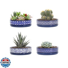 Selamica Vasi Succulenti in