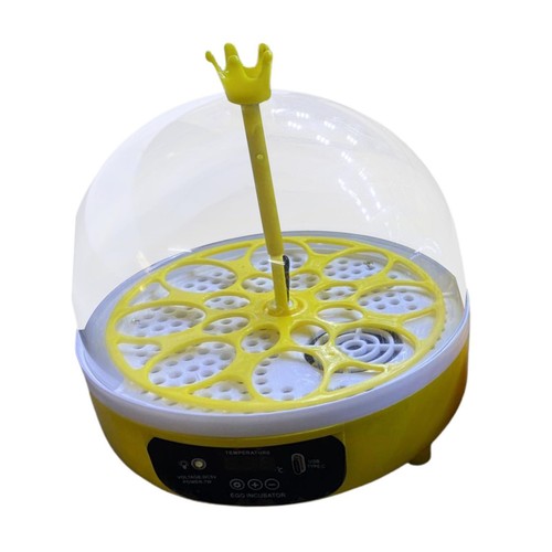 Incubatore uova con - uova,