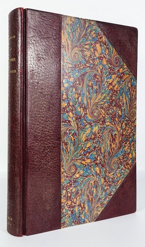 Victor hugo l année - 📖,