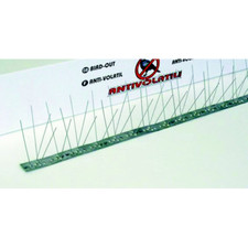 Stainless Steel Bird Bollard