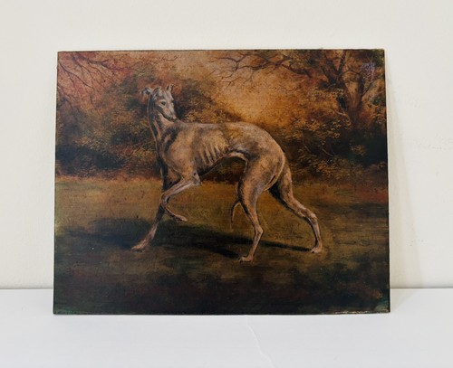 Dipinto cane sportivo - , olio