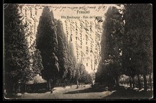 Frascati, Villa Mondragone