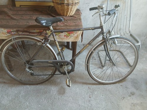 Bicicletta uomo - bicicletta,