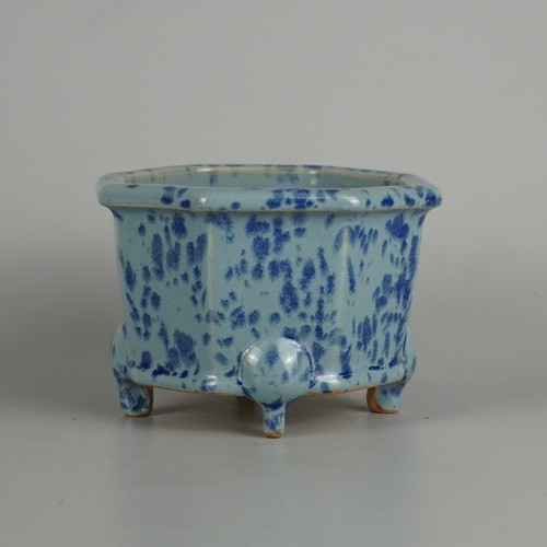 Vaso per bonsai - , giapponese