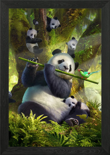 Quadro stampa tela poster - stampa,