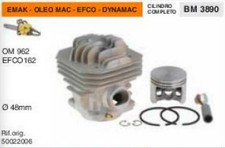 50022006 CILINDRO E PISTONE