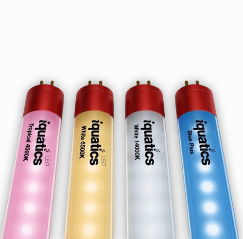 Iquatics juwel tubo led - tubo,