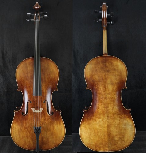 Nicely sound violoncello - nicely,